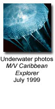 Photos from the M/V Caribbean Explorer
