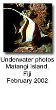 Photos from Fiji