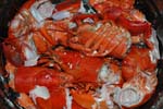 Maine_0905_07