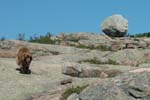 Maine_0905_26