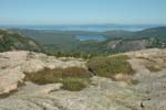 Maine_0905_35