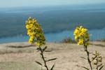 Maine_0905_40
