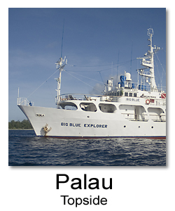 Photos from Palau