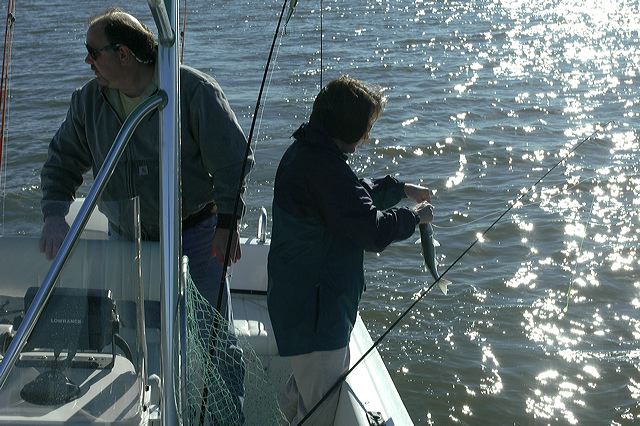 texoma_1105_14.jpg